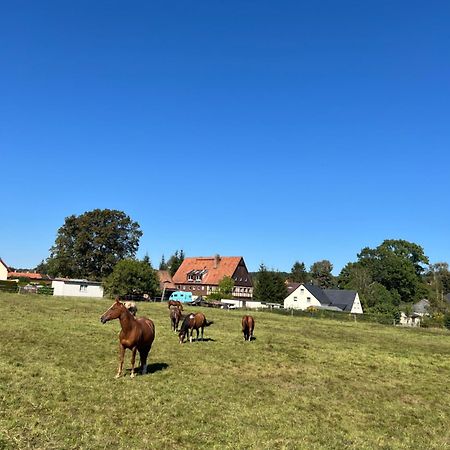 Ferienwohnung Kottmar Walddorf  ภายนอก รูปภาพ